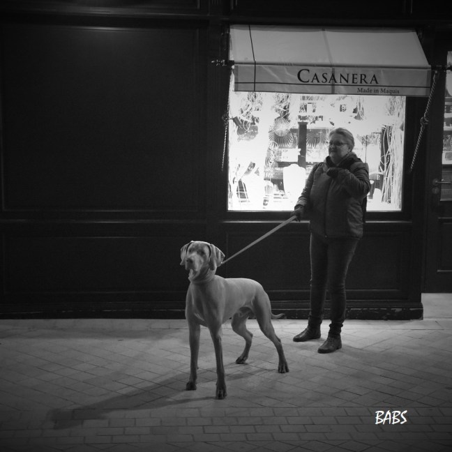photo noir et blanc d'un chien et de sa maitresse